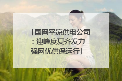 国网平凉供电公司：迎峰度夏齐发力 强网优供保运行