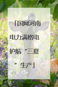 国网河南电力满格电护航“三夏”生产