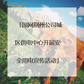 国网荆州公司城区供电中心开展安全用电宣传活动