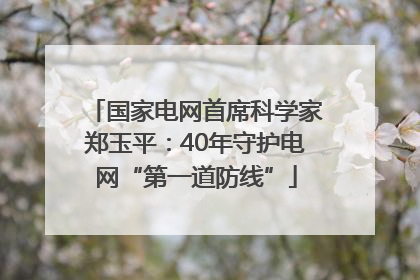 国家电网首席科学家郑玉平：40年守护电网“第一道防线”