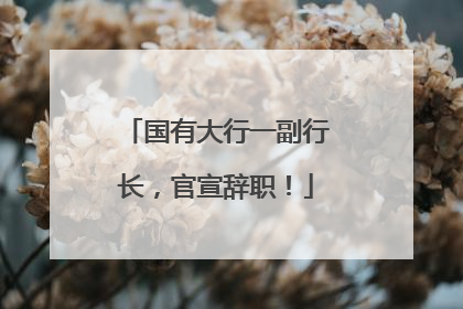 国有大行一副行长，官宣辞职！