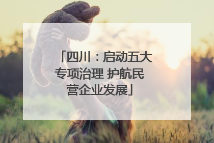 四川：启动五大专项治理 护航民营企业发展