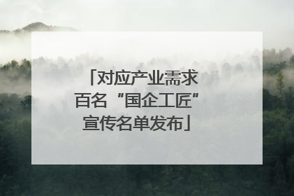 对应产业需求 百名“国企工匠”宣传名单发布