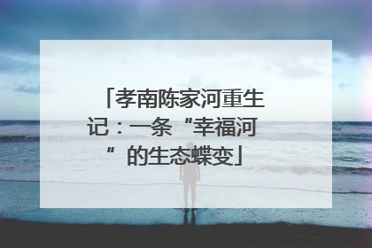 孝南陈家河重生记：一条“幸福河”的生态蝶变