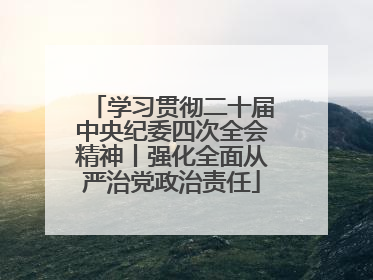 学习贯彻二十届中央纪委四次全会精神丨强化全面从严治党政治责任