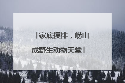 家底摸排，崂山成野生动物天堂