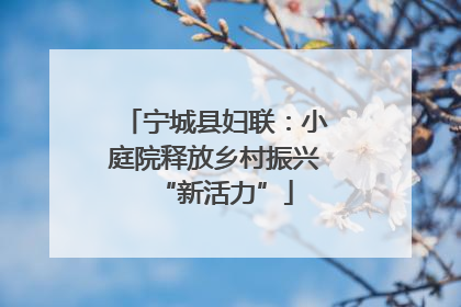 宁城县妇联：小庭院释放乡村振兴“新活力”