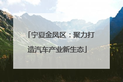 宁夏金凤区：聚力打造汽车产业新生态