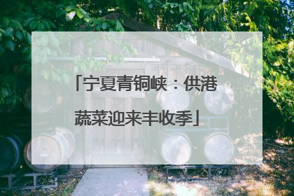 宁夏青铜峡：供港蔬菜迎来丰收季