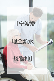 宁波发现全新水母物种