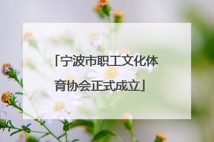 宁波市职工文化体育协会正式成立