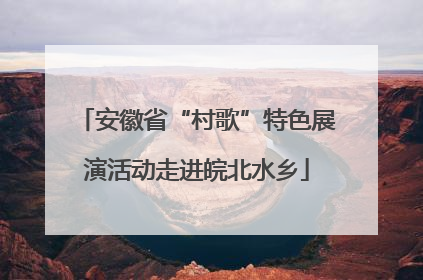 安徽省“村歌”特色展演活动走进皖北水乡