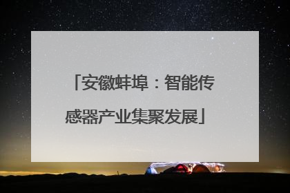 安徽蚌埠：智能传感器产业集聚发展