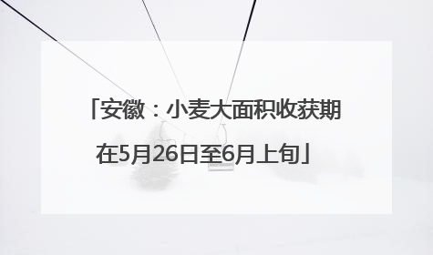 安徽：小麦大面积收获期在5月26日至6月上旬