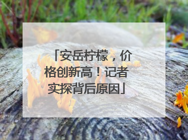 安岳柠檬，价格创新高！记者实探背后原因