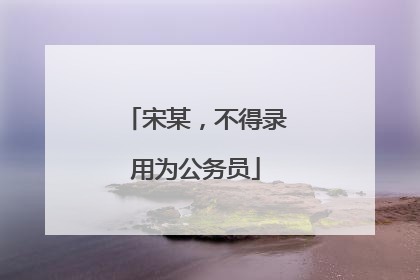 宋某，不得录用为公务员