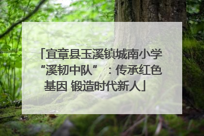 宜章县玉溪镇城南小学“溪韧中队”：传承红色基因 锻造时代新人