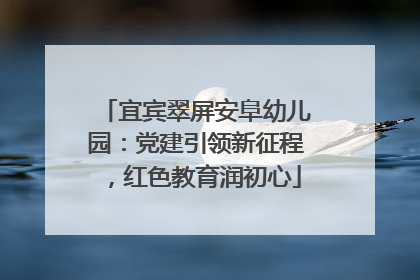 宜宾翠屏安阜幼儿园：党建引领新征程，红色教育润初心
