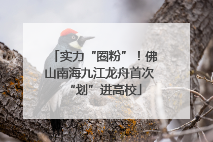 实力“圈粉”！佛山南海九江龙舟首次“划”进高校