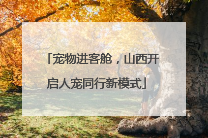 宠物进客舱，山西开启人宠同行新模式