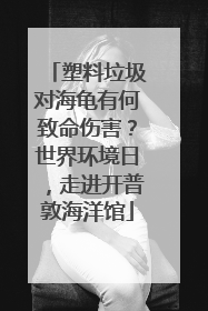 塑料垃圾对海龟有何致命伤害？世界环境日，走进开普敦海洋馆