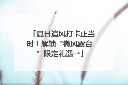 夏日追风打卡正当时！解锁“微风露台”限定礼遇→
