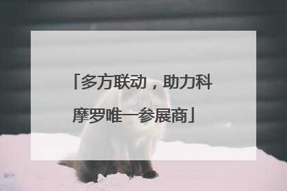 多方联动，助力科摩罗唯一参展商