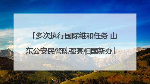 多次执行国际维和任务 山东公安民警陈强亮相国新办