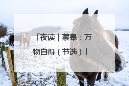 夜读｜蔡皋：万物自得（节选）