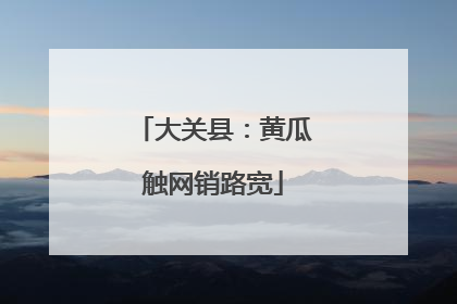 大关县：黄瓜触网销路宽