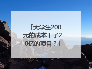 大学生200元的成本干了20亿的项目？