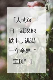 大武汉一日｜武汉地铁上，满满一车全是“宝贝”