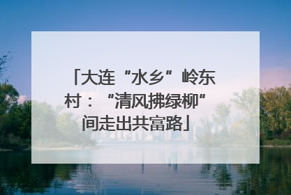 大连“水乡”岭东村：“清风拂绿柳”间走出共富路