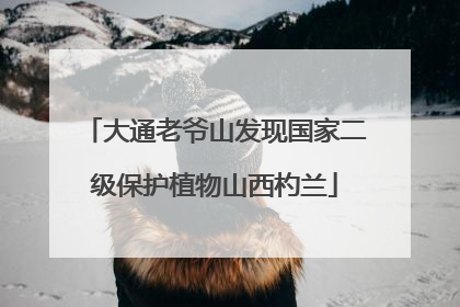 大通老爷山发现国家二级保护植物山西杓兰