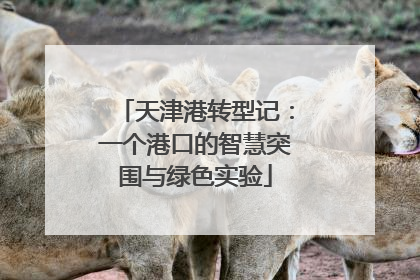 天津港转型记：一个港口的智慧突围与绿色实验