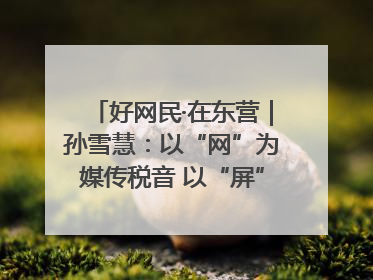 好网民·在东营｜孙雪慧：以“网”为媒传税音 以“屏”为介助发展
