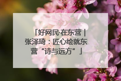 好网民·在东营｜张泽琦：匠心绘就东营“诗与远方”