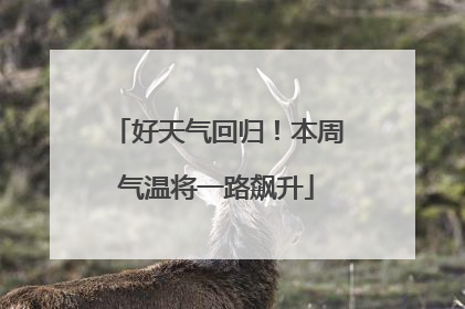 好天气回归！本周气温将一路飙升