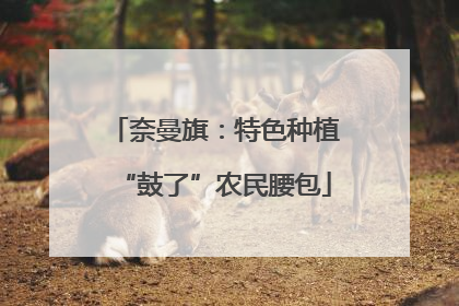 奈曼旗：特色种植“鼓了”农民腰包