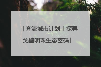奔流城市计划丨探寻戈壁明珠生态密码