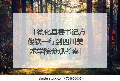 德化县委书记方俊钦一行到四川美术学院参观考察