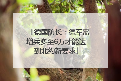 德国防长：德军需增兵多至6万才能达到北约新要求