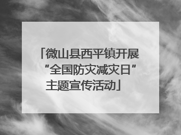 微山县西平镇开展“全国防灾减灾日”主题宣传活动