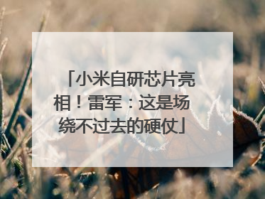 小米自研芯片亮相！雷军：这是场绕不过去的硬仗