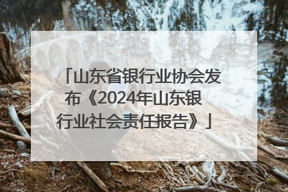 山东省银行业协会发布《2024年山东银行业社会责任报告》