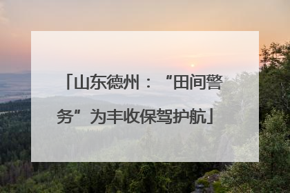 山东德州：“田间警务”为丰收保驾护航