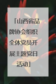 山西省品牌协会组织全体党员开展主题党日活动
