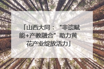 山西大同：“非遗赋能+产教融合”助力黄花产业绽放活力