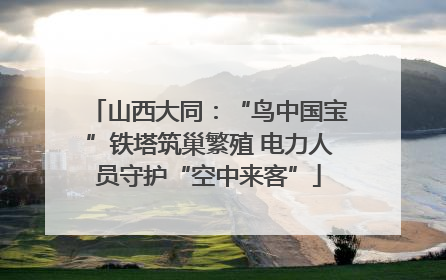 山西大同：“鸟中国宝”铁塔筑巢繁殖 电力人员守护“空中来客”