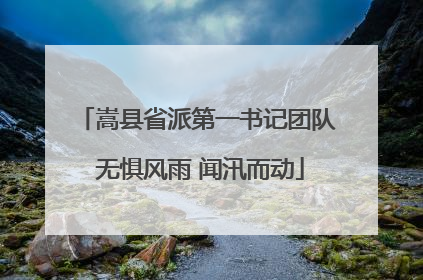 嵩县省派第一书记团队 无惧风雨 闻汛而动